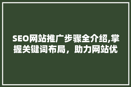 SEO网站推广步骤全介绍,掌握关键词布局，助力网站优化