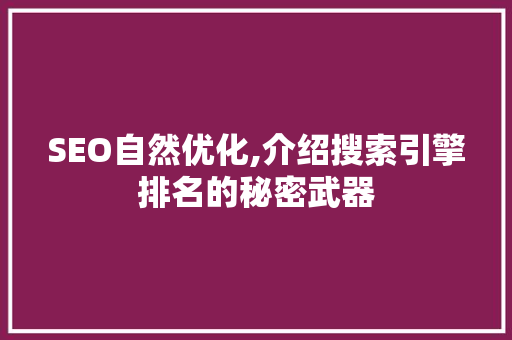SEO自然优化,介绍搜索引擎排名的秘密武器