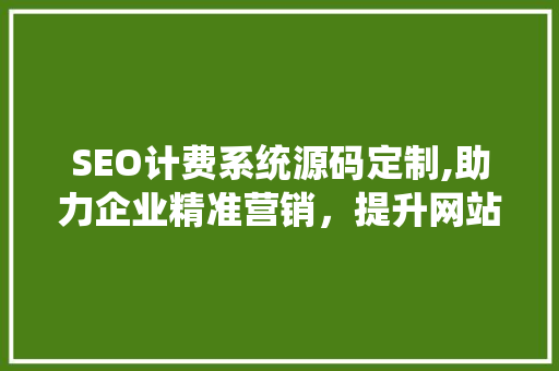 SEO计费系统源码定制,助力企业精准营销,提升网站排名 SEO计费系统源码定制,助力企业精准营销,提升网站排名