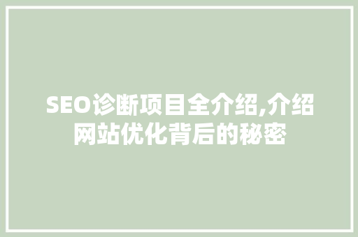 SEO诊断项目全介绍,介绍网站优化背后的秘密 SEO诊断项目全介绍,介绍网站优化背后的秘密