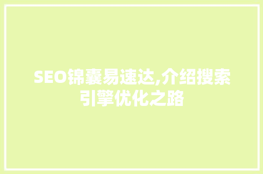 SEO锦囊易速达,介绍搜索引擎优化之路