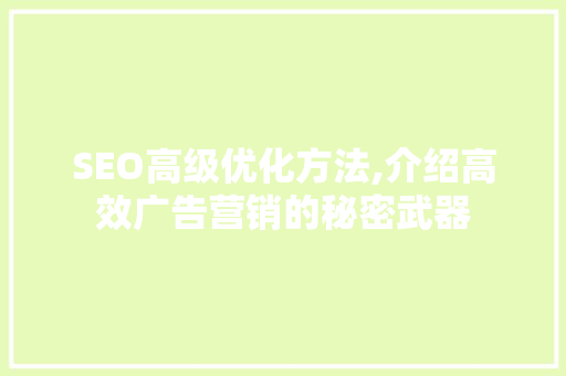 SEO高级优化方法,介绍高效广告营销的秘密武器