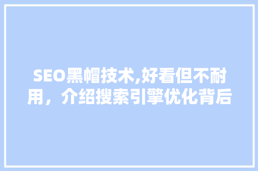 SEO黑帽技术,好看但不耐用，介绍搜索引擎优化背后的真相