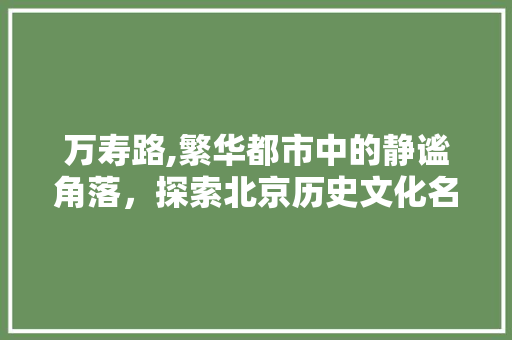 万寿路,繁华都市中的静谧角落,探索北京历史文化名街的魅力 万寿路,繁华都市中的静谧角落,探索北京历史文化名街的魅力