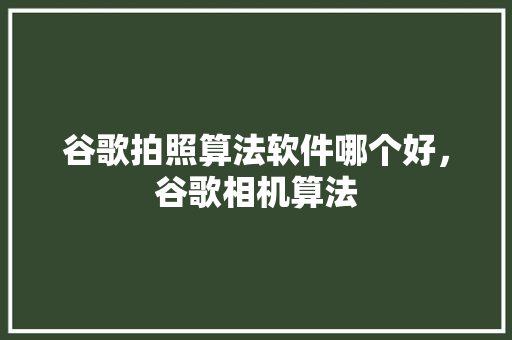 谷歌拍照算法软件哪个好，谷歌相机算法