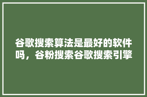 谷歌搜索算法是最好的软件吗，谷粉搜索谷歌搜索引擎入口