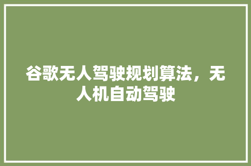 谷歌无人驾驶规划算法，无人机自动驾驶