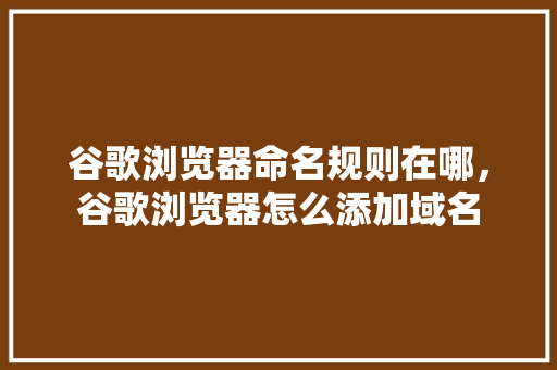 谷歌浏览器命名规则在哪，谷歌浏览器怎么添加域名