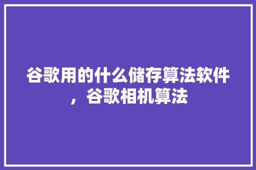 谷歌用的什么储存算法软件，谷歌相机算法 电脑故障维修