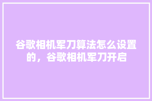 谷歌相机军刀算法怎么设置的，谷歌相机军刀开启