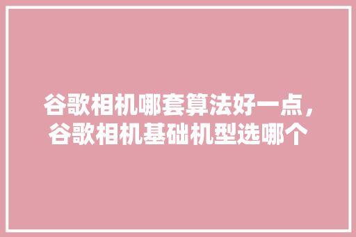 谷歌相机哪套算法好一点，谷歌相机基础机型选哪个