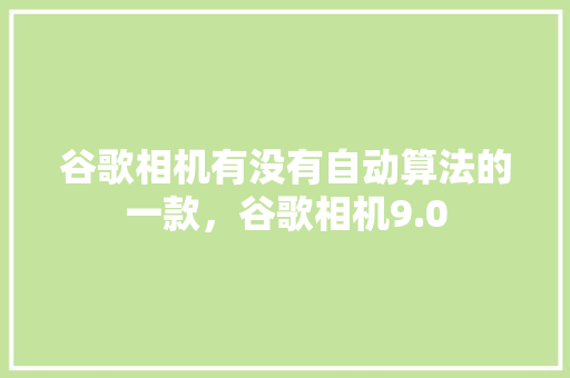 谷歌相机有没有自动算法的一款,谷歌相机9.0 谷歌相机有没有自动算法的一款,谷歌相机9.0