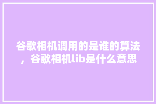 谷歌相机调用的是谁的算法，谷歌相机lib是什么意思
