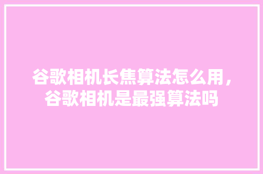 谷歌相机长焦算法怎么用，谷歌相机是最强算法吗