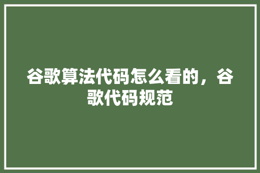 谷歌算法代码怎么看的，谷歌代码规范