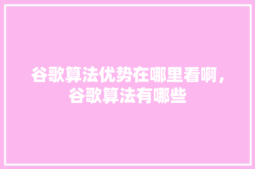 谷歌算法优势在哪里看啊，谷歌算法有哪些