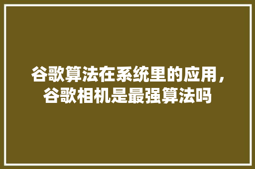 谷歌算法在系统里的应用，谷歌相机是最强算法吗