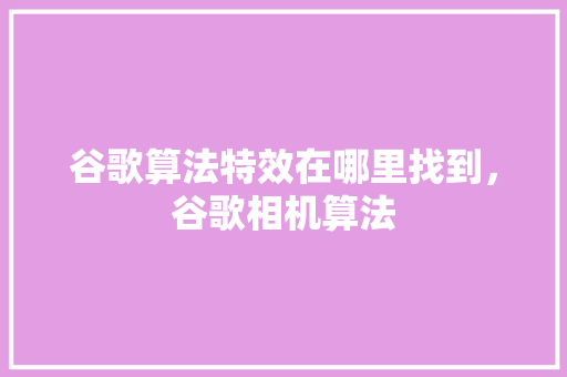 谷歌算法特效在哪里找到，谷歌相机算法