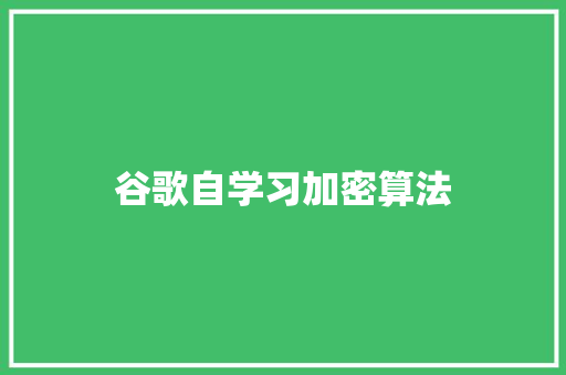 谷歌自学习加密算法