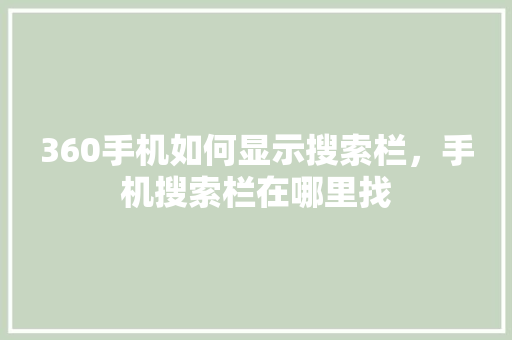 360手机如何显示搜索栏，手机搜索栏在哪里找 编程语言