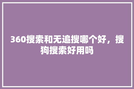 360搜索和无追搜哪个好，搜狗搜索好用吗