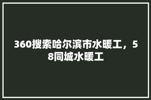360搜索哈尔滨市水暖工，58同城水暖工