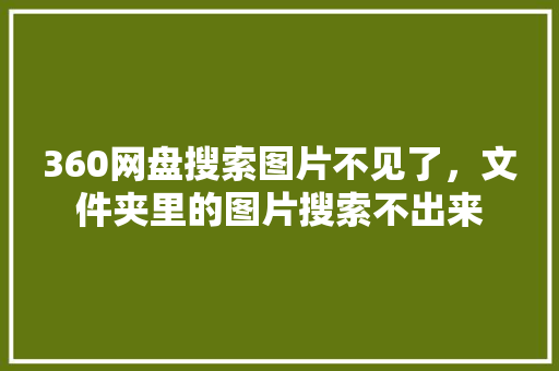 360网盘搜索图片不见了，文件夹里的图片搜索不出来