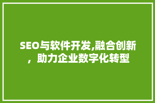 SEO与软件开发,融合创新，助力企业数字化转型