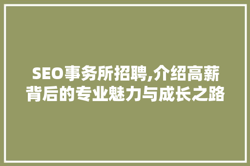 SEO事务所招聘,介绍高薪背后的专业魅力与成长之路