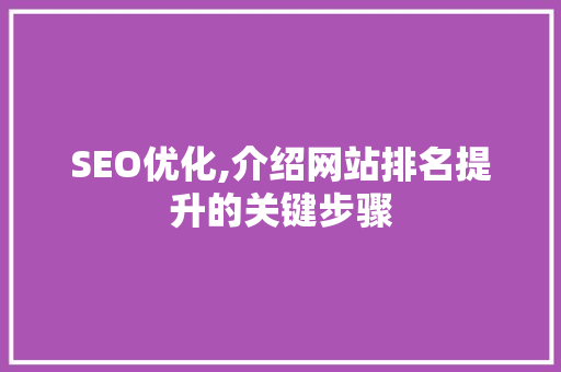 SEO优化,介绍网站排名提升的关键步骤