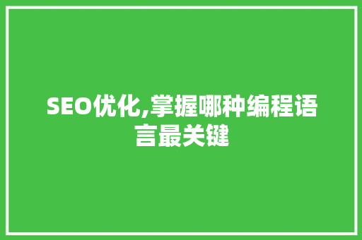 SEO优化,掌握哪种编程语言最关键
