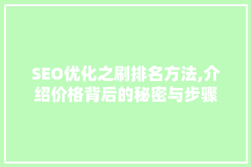 SEO优化之刷排名方法,介绍价格背后的秘密与步骤 网络技术