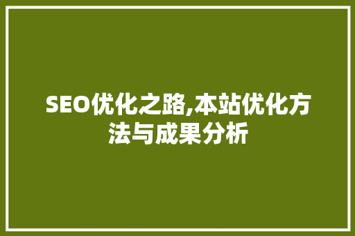 SEO优化之路,本站优化方法与成果分析