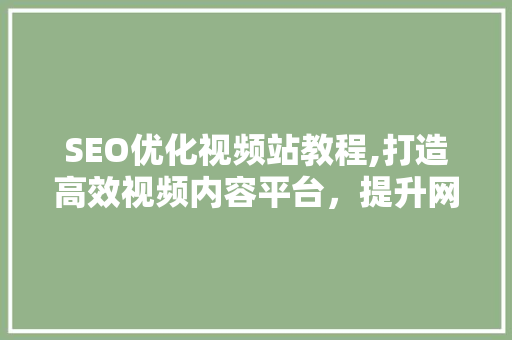 SEO优化视频站教程,打造高效视频内容平台，提升网站流量与品牌影响力