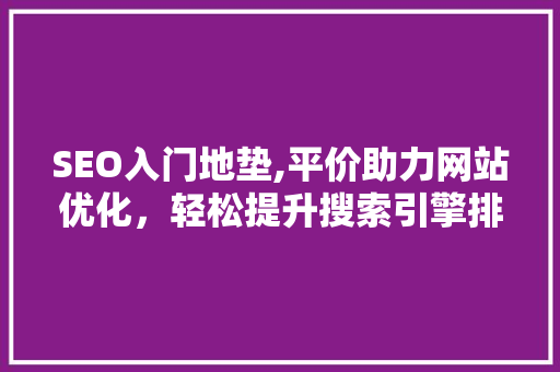 SEO入门地垫,平价助力网站优化，轻松提升搜索引擎排名