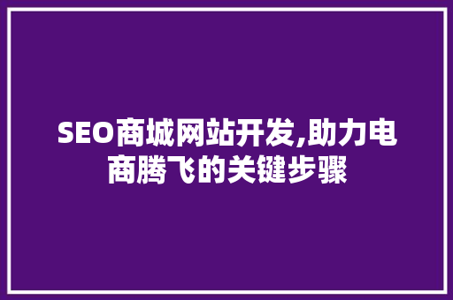 SEO商城网站开发,助力电商腾飞的关键步骤