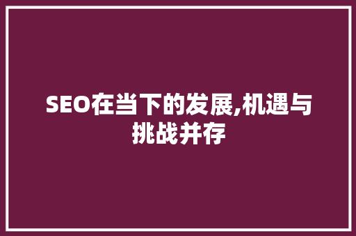 SEO在当下的发展,机遇与挑战并存