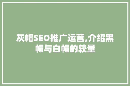 灰帽SEO推广运营,介绍黑帽与白帽的较量