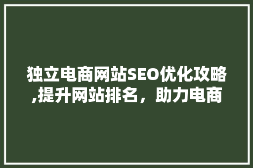 独立电商网站SEO优化攻略,提升网站排名，助力电商业务腾飞