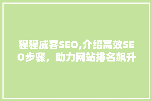 猩猩威客SEO,介绍高效SEO步骤，助力网站排名飙升