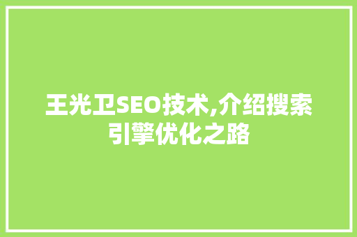 王光卫SEO技术,介绍搜索引擎优化之路