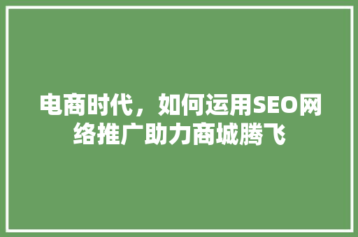 电商时代，如何运用SEO网络推广助力商城腾飞