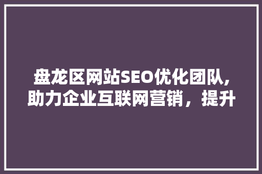 盘龙区网站SEO优化团队,助力企业互联网营销，提升品牌影响力