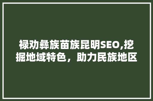 禄劝彝族苗族昆明SEO,挖掘地域特色，助力民族地区发展