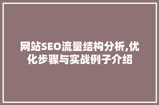 网站SEO流量结构分析,优化步骤与实战例子介绍