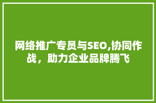 网络推广专员与SEO,协同作战，助力企业品牌腾飞