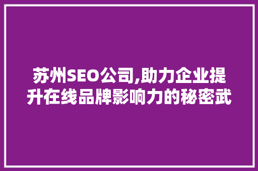 苏州SEO公司,助力企业提升在线品牌影响力的秘密武器 苏州SEO公司,助力企业提升在线品牌影响力的秘密武器