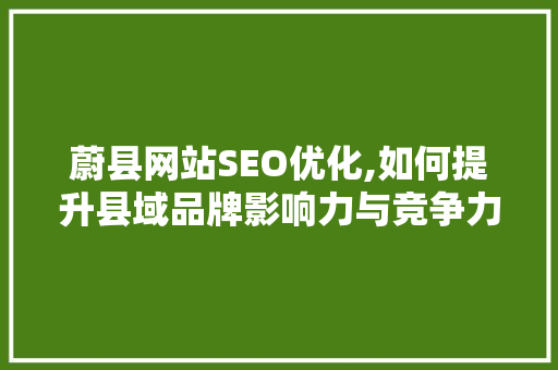 蔚县网站SEO优化,如何提升县域品牌影响力与竞争力