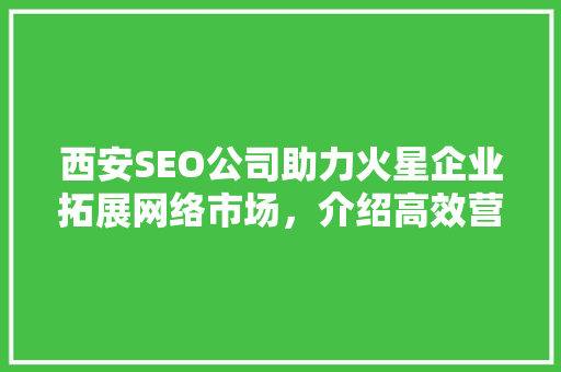 西安SEO公司助力火星企业拓展网络市场，介绍高效营销步骤