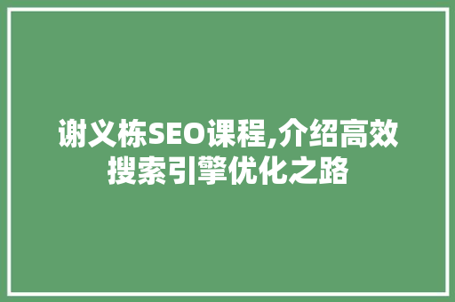 谢义栋SEO课程,介绍高效搜索引擎优化之路 谢义栋SEO课程,介绍高效搜索引擎优化之路
